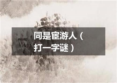 同是宦游人（打一字谜）