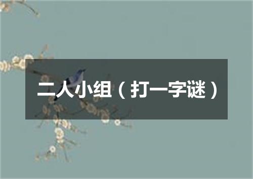 二人小组（打一字谜）