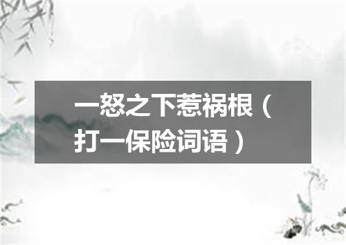 一怒之下惹祸根（打一保险词语）