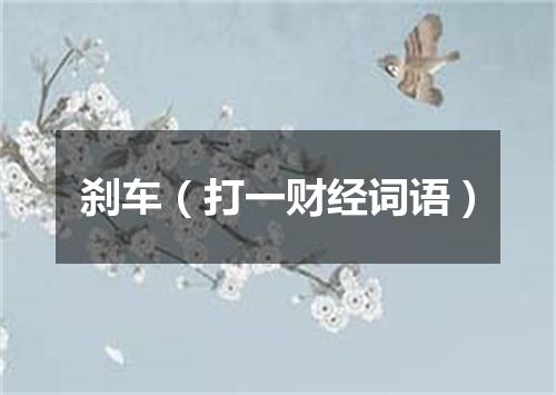 刹车（打一财经词语）