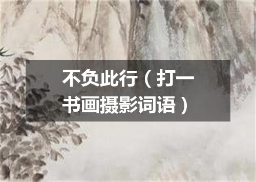 不负此行（打一书画摄影词语）