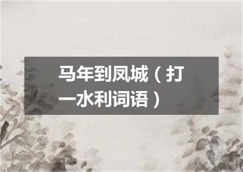 马年到凤城（打一水利词语）