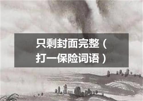 只剩封面完整（打一保险词语）