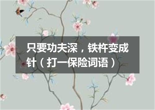 只要功夫深，铁杵变成针（打一保险词语）