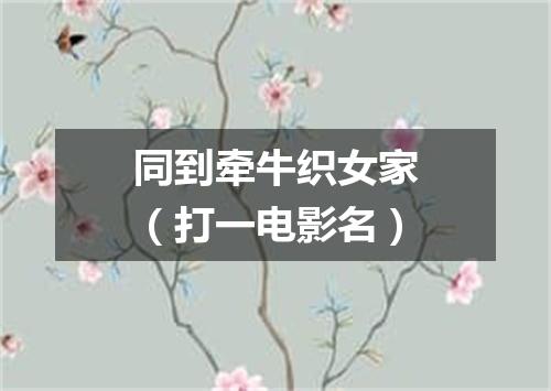 同到牵牛织女家（打一电影名）