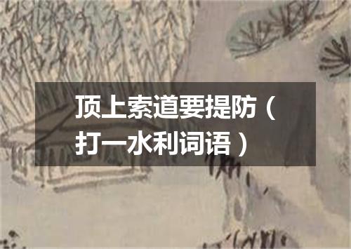 顶上索道要提防（打一水利词语）