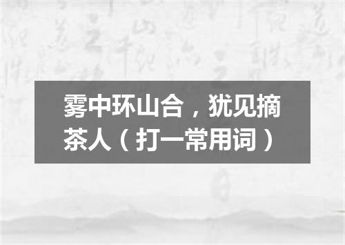 雾中环山合，犹见摘茶人（打一常用词）