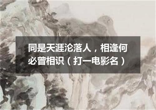 同是天涯沦落人，相逢何必曾相识（打一电影名）