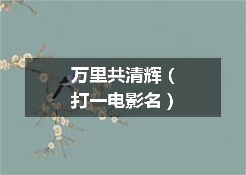 万里共清辉（打一电影名）