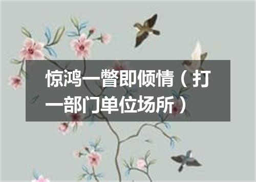 惊鸿一瞥即倾情（打一部门单位场所）