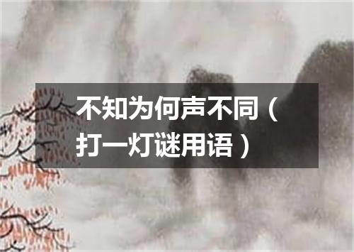 不知为何声不同（打一灯谜用语）