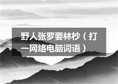 野人张罗要林杪（打一网络电脑词语）