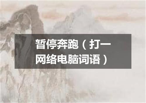 暂停奔跑（打一网络电脑词语）