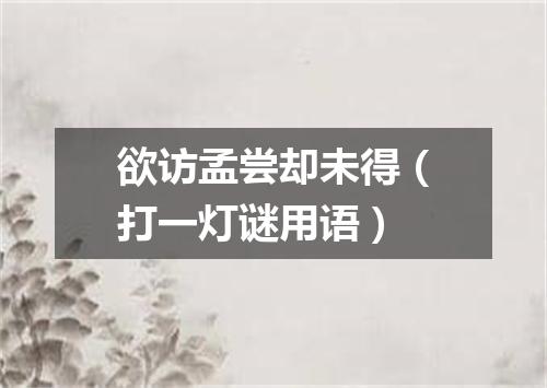 欲访孟尝却未得（打一灯谜用语）