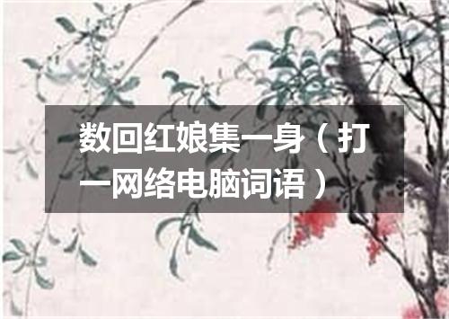 数回红娘集一身（打一网络电脑词语）