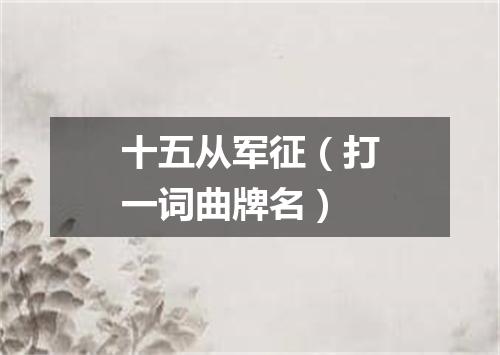 十五从军征（打一词曲牌名）