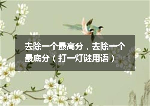 去除一个最高分，去除一个最底分（打一灯谜用语）