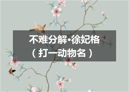 不难分解·徐妃格（打一动物名）