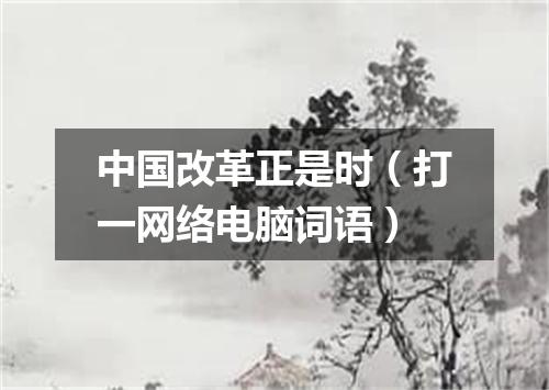 中国改革正是时（打一网络电脑词语）