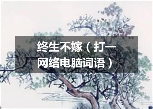 终生不嫁（打一网络电脑词语）