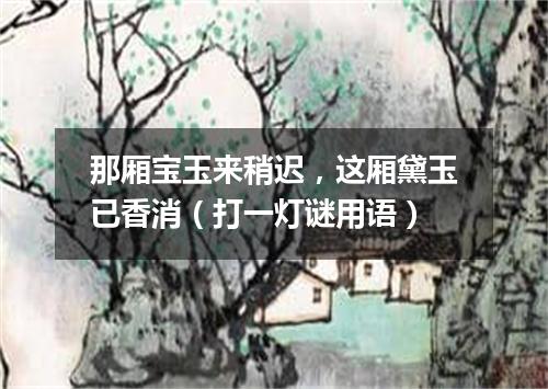 那厢宝玉来稍迟，这厢黛玉已香消（打一灯谜用语）