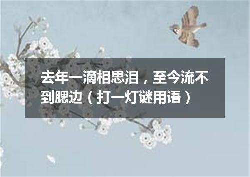 去年一滴相思泪，至今流不到腮边（打一灯谜用语）