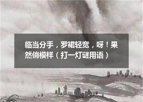 临当分手，罗裙轻宽，呀！果然俏模样（打一灯谜用语）