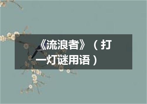 《流浪者》（打一灯谜用语）