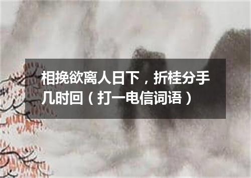 相挽欲离人日下，折桂分手几时回（打一电信词语）