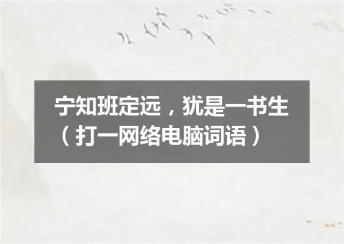 宁知班定远，犹是一书生（打一网络电脑词语）