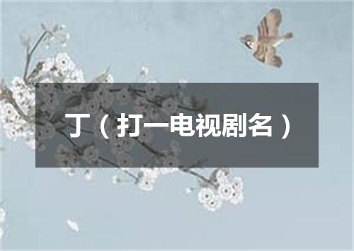 丁（打一电视剧名）