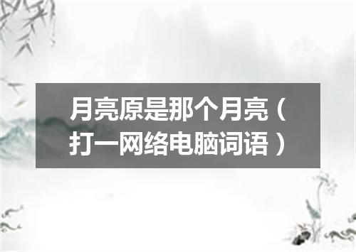 月亮原是那个月亮（打一网络电脑词语）