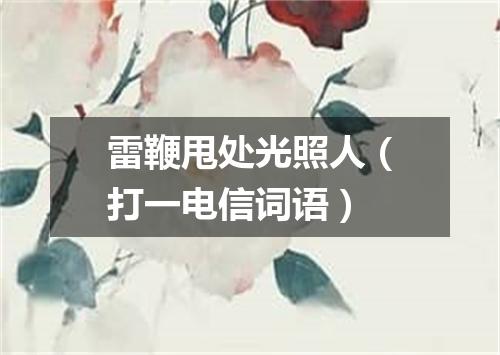 雷鞭甩处光照人（打一电信词语）