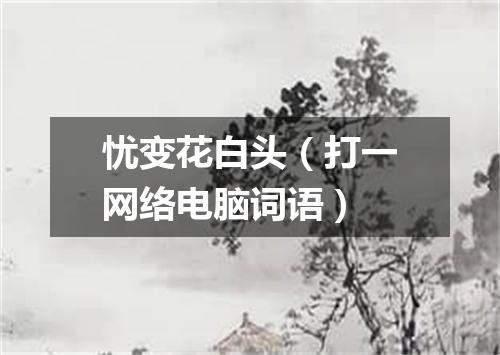 忧变花白头（打一网络电脑词语）
