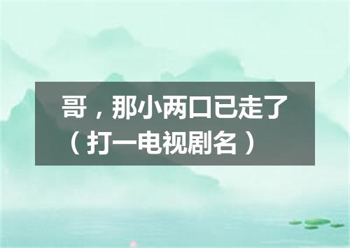 哥，那小两口已走了（打一电视剧名）