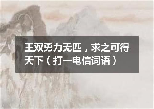 王双勇力无匹，求之可得天下（打一电信词语）
