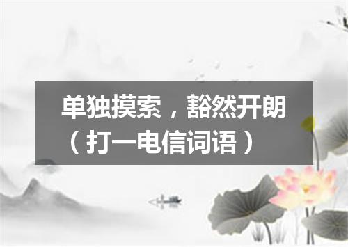单独摸索，豁然开朗（打一电信词语）