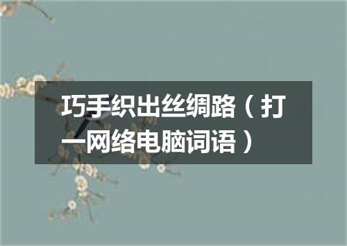 巧手织出丝绸路（打一网络电脑词语）