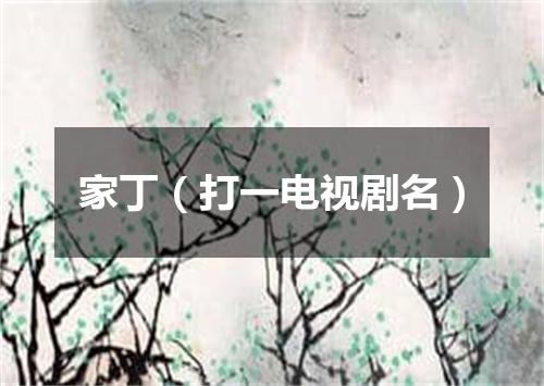 家丁（打一电视剧名）