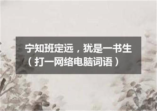 宁知班定远，犹是一书生（打一网络电脑词语）
