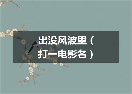 出没风波里（打一电影名）