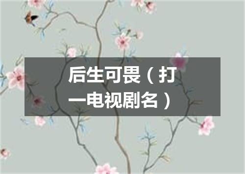 后生可畏（打一电视剧名）