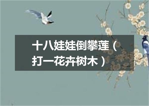 十八娃娃倒攀莲（打一花卉树木）