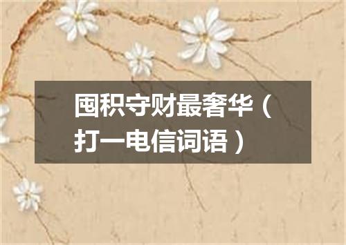 囤积守财最奢华（打一电信词语）