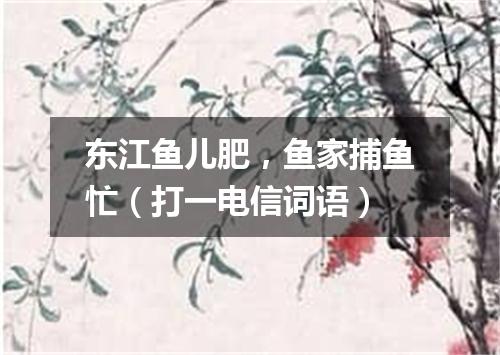 东江鱼儿肥，鱼家捕鱼忙（打一电信词语）