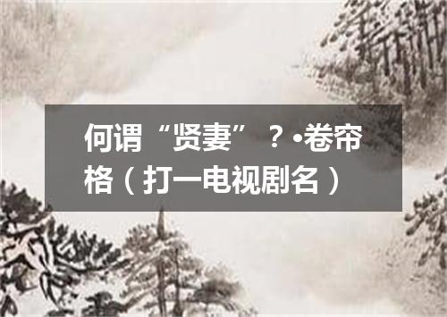 何谓“贤妻”？·卷帘格（打一电视剧名）