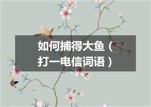 如何捕得大鱼（打一电信词语）