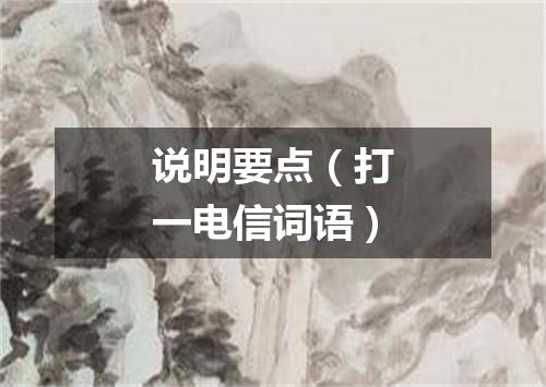 说明要点（打一电信词语）