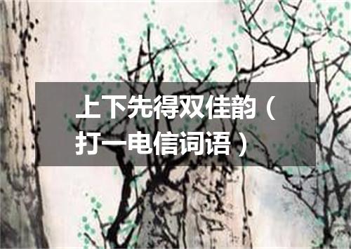 上下先得双佳韵（打一电信词语）