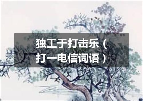独工于打击乐（打一电信词语）
